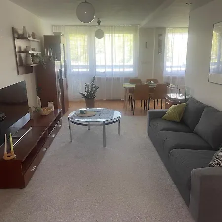 Downtown Luxury Apartment *